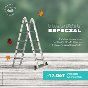 Promocion Especial Escalera